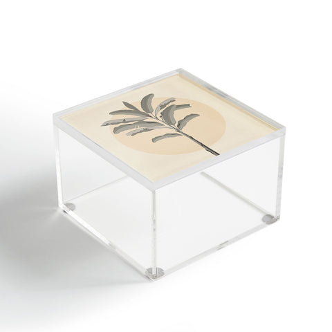 Iveta Abolina Sunrise Tan Acrylic Box