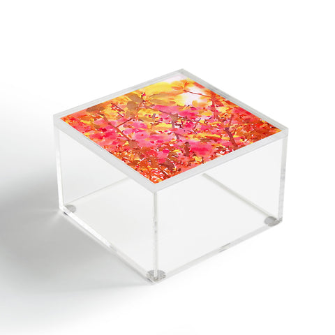 Jacqueline Maldonado Cherry Blossom Canopy Acrylic Box
