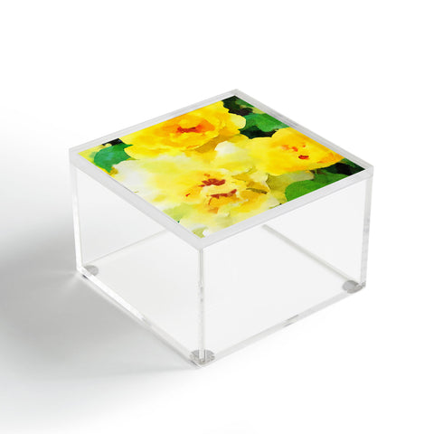 Jacqueline Maldonado Renew Acrylic Box