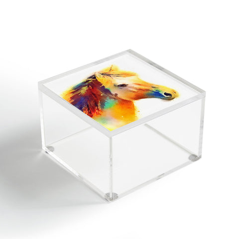 Jacqueline Maldonado The Spirited Acrylic Box