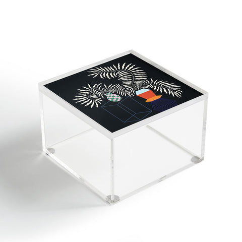 Jae Polgar Duo 4 Acrylic Box