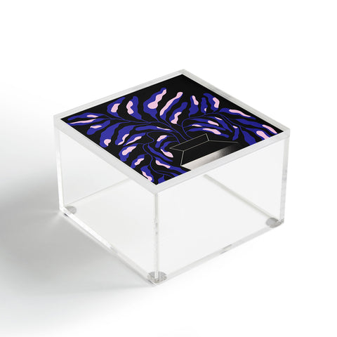 Jae Polgar Fuzz 2 Acrylic Box