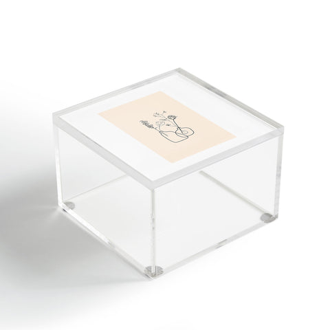 Jae Polgar Vases Acrylic Box