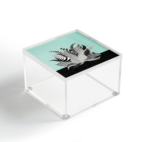 Jenean Morrison Haworthia Morning Acrylic Box