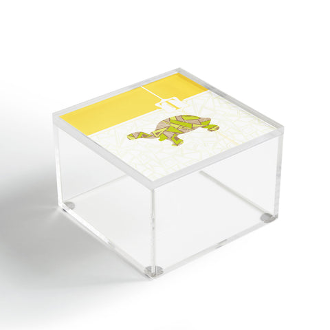 Jennifer Hill Mister Tortoise Acrylic Box