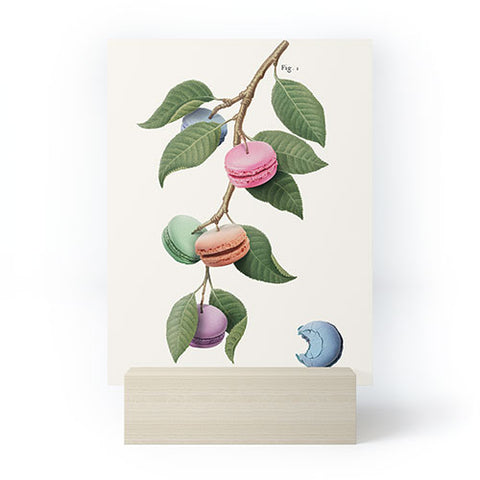 Jonas Loose Macaron Plant Mini Art Print