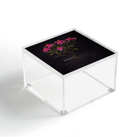 Joy Laforme Herb Garden Echinacea Acrylic Box