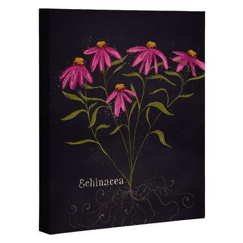 Joy Laforme Herb Garden Echinacea Art Canvas