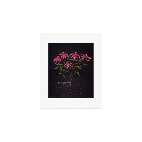 Joy Laforme Herb Garden Echinacea Art Print