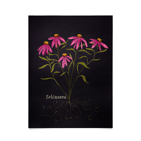 Joy Laforme Herb Garden Echinacea Poster