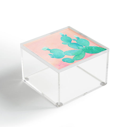 Kangarui Pastel Cactus Acrylic Box