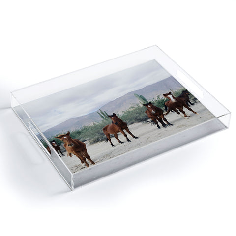 Kevin Russ Baha de los ngeles Wild Horses Acrylic Tray