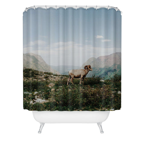 Kevin Russ Bighorn Overlook Shower Curtain