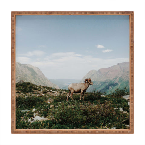 Kevin Russ Bighorn Overlook Square Tray