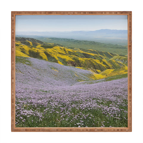 Kevin Russ California Wildflowers Square Tray