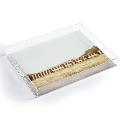 Kevin Russ Fence Standing Acrylic Tray