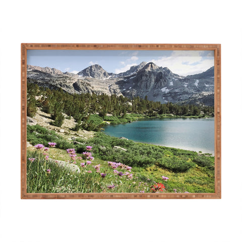 Kevin Russ Sierra Alpine Wildflowers Rectangular Tray
