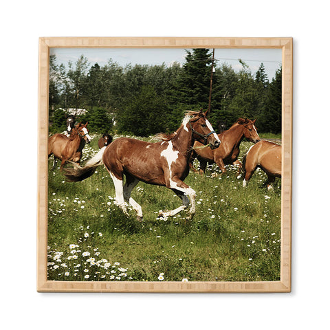 Kevin Russ Spring Horse Run Framed Wall Art
