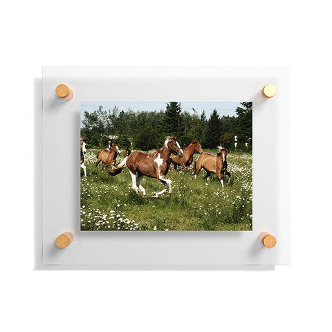 Kevin Russ Spring Horse Run Floating Acrylic Print