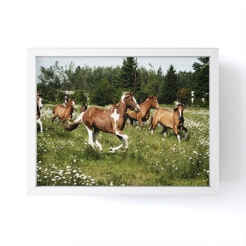 Kevin Russ Spring Horse Run Framed Mini Art Print