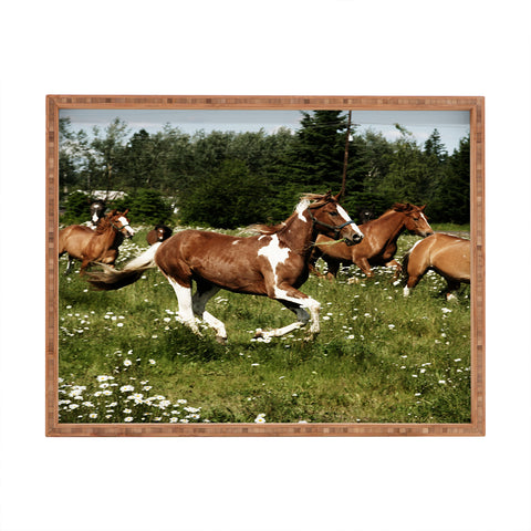 Kevin Russ Spring Horse Run Rectangular Tray