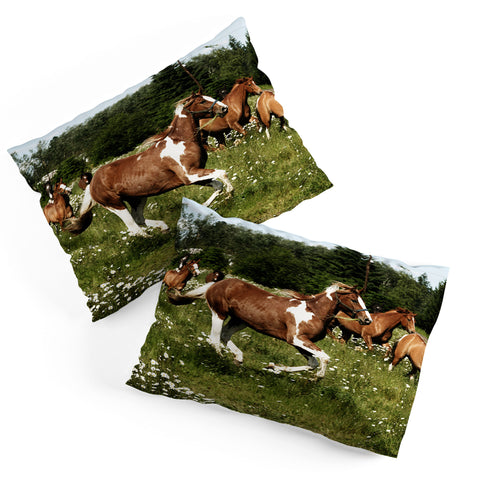 Kevin Russ Spring Horse Run Pillow Shams