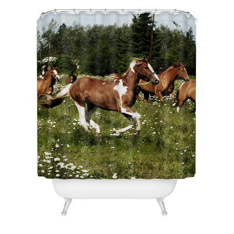 Kevin Russ Spring Horse Run Shower Curtain