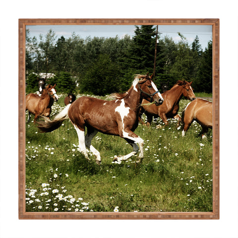 Kevin Russ Spring Horse Run Square Tray
