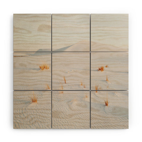 Kevin Russ White Sands National Monument Wood Wall Mural