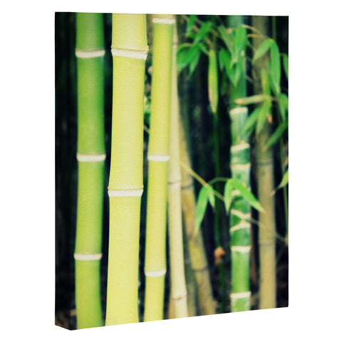 Krista Glavich Bamboo Art Canvas