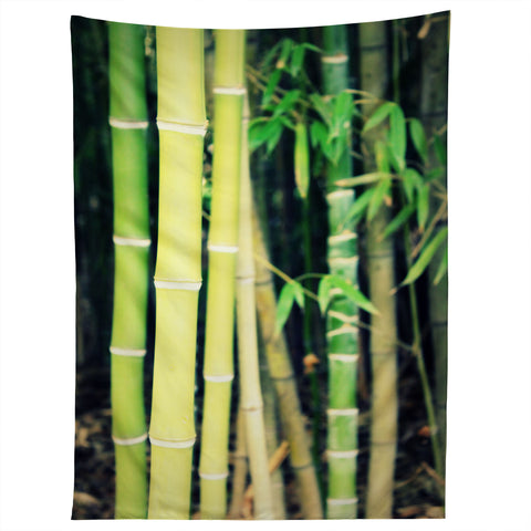 Krista Glavich Bamboo Tapestry