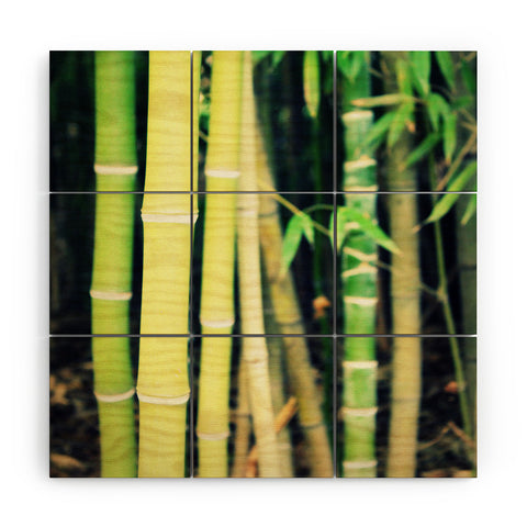 Krista Glavich Bamboo Wood Wall Mural