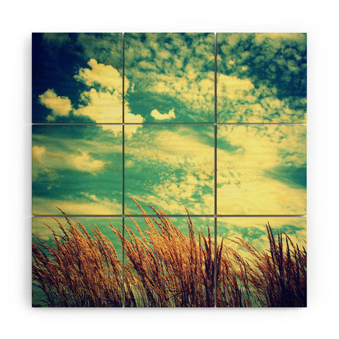 Krista Glavich Clouds and Grasses Wood Wall Mural