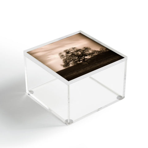 Krista Glavich Oak Acrylic Box