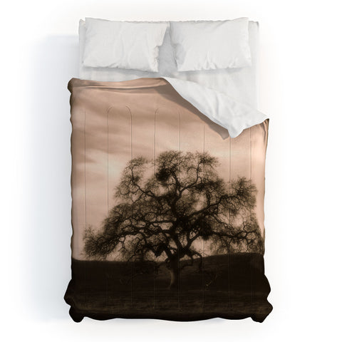 Krista Glavich Oak Comforter