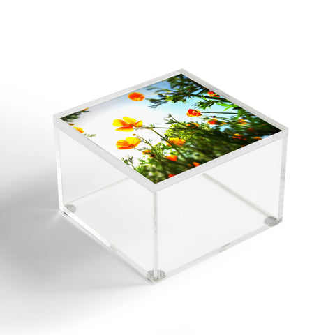 Krista Glavich Poppies 1 Acrylic Box