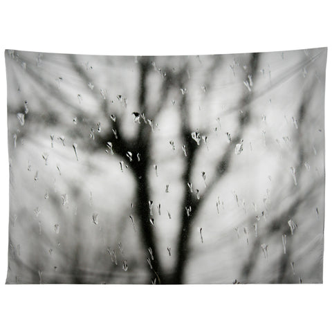 Krista Glavich Rainy Window Tapestry