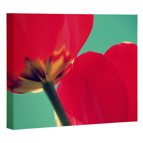 Krista Glavich Tulips and Sky Art Canvas