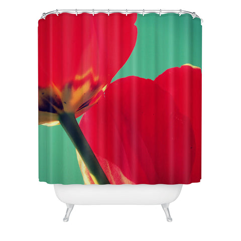 Krista Glavich Tulips and Sky Shower Curtain