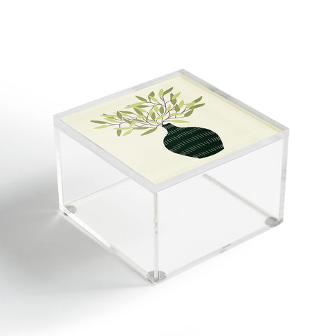 Lane and Lucia Vase 25 with Olive Branches Acrylic Box