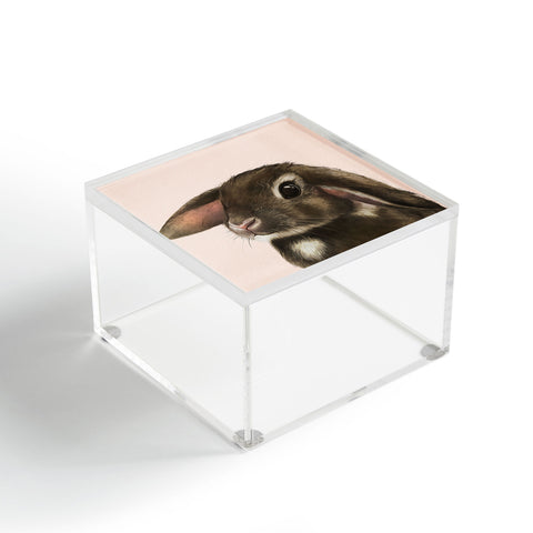 Laura Graves baby bunny Acrylic Box