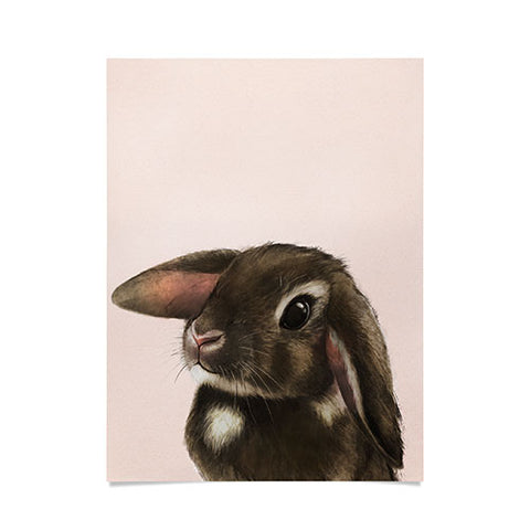 Laura Graves baby bunny Poster