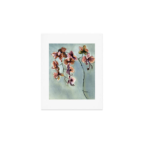 Laura Trevey Orchids Art Print