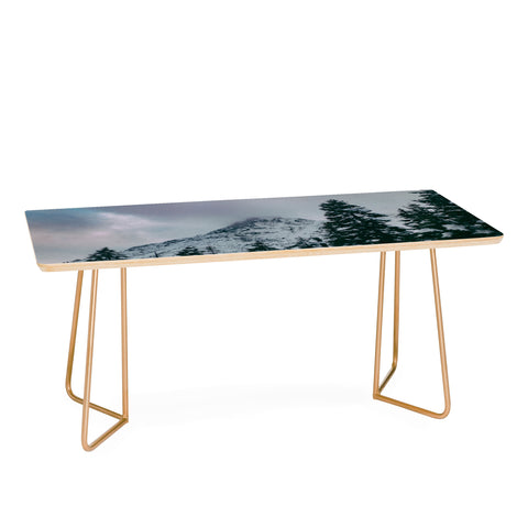 Leah Flores North Cascade Winter Coffee Table