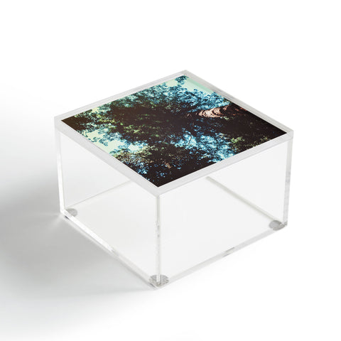 Leah Flores Treetops Acrylic Box