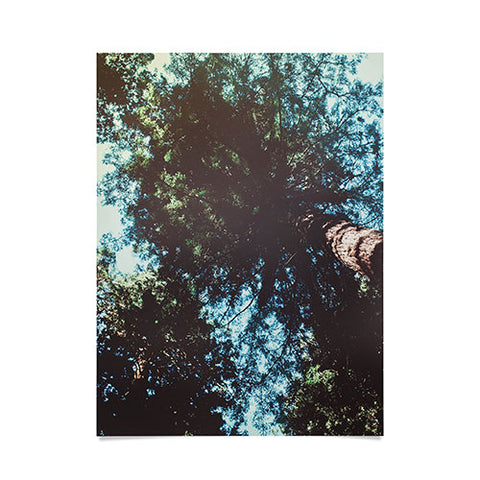 Leah Flores Treetops Poster