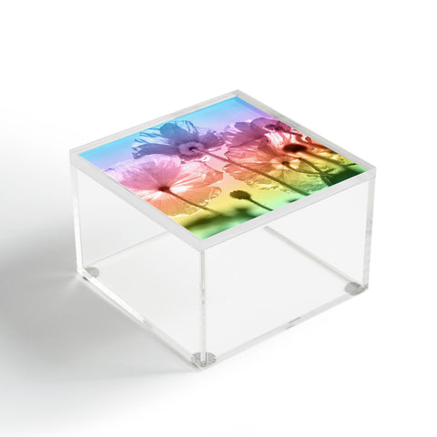 Lisa Argyropoulos A Magical Morning Acrylic Box