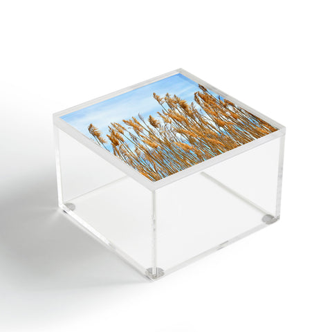 Lisa Argyropoulos Autumn Gold Acrylic Box