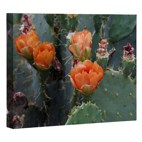 Lisa Argyropoulos Blooming Prickly Pear Art Canvas