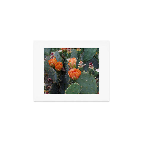 Lisa Argyropoulos Blooming Prickly Pear Art Print